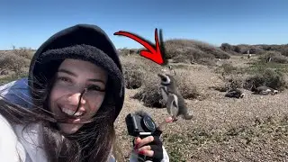 ME FUI DE VIAJE SORPRESA