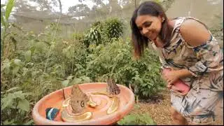 Madre de Dios: capital de la Biodiversidad del Perú
