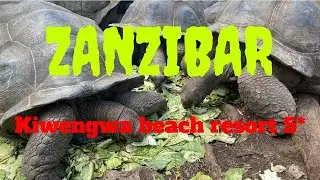 ZANZIBAR. Kiwengwa beach resort 5*