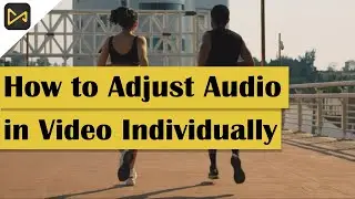 How to Adjust Audio in Video Individually | #tuneskitacemovi   #tutorial