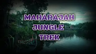 Anandapur: Maharajah Jungle Trek | Disney's Animal Kingdom