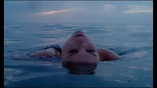Josh Flowers - No Bad Blood (Music Video)