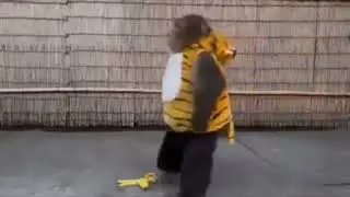 Slipping on a banana peel 🤣