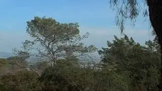 Й. Ашлаг (Бааль Сулам). 