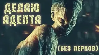 ПОТНЫЙ АДЕПТ НА ВЕДЬМЕ 😰 DEAD BY DAYLIGHT