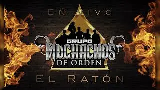 Muchachos de Orden " Soy el Ratón" [Cover en vivo 2022]