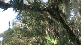Rope Swing Fails and bails, Some Makes