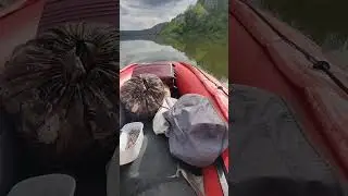 после проточки импеллера