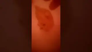 Specjal na 53 suby dziękuję 😍
