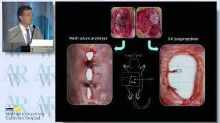 Mesh Suture AWR conference 2015