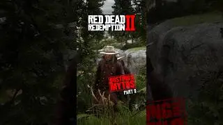 Busting Myths In RDR2 