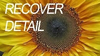 How to Recover details from flower Photoshop