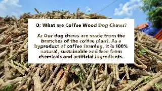 Love The Earth - Coffee Wood Dog Chews