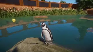 Planet Zoo (PC)(English) 