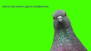 песня про моего друга :)))