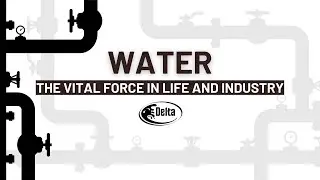 💧Navigating the Flow: Unveiling the Significance of Water 💦