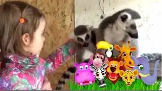 Контактный Зоопарк - деткам зверей можно трогать ручками ( Тактильный )