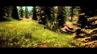 Skyrim SE Unique Grass Mod Review