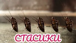 Топим за хлебозаводское!
