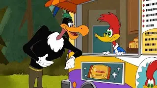 Woody Has a Food Truck | Woody Woodpecker | Cartoons in Spanish