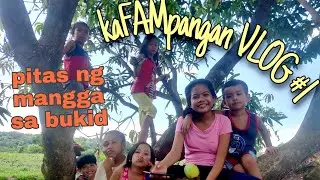 Vlog #1: Pitas ng mangga sa bukid | KaFamPangan Vlog