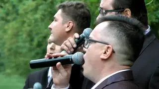 В/а 