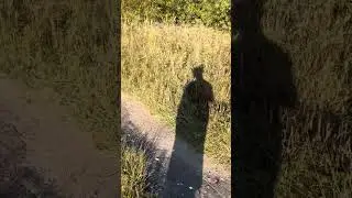 Участок 16,3 сот в д. Вяльковка Александровский р-н