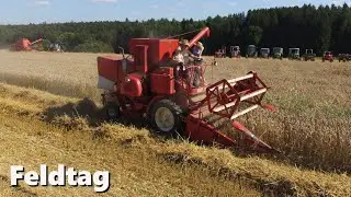 Dreschen am Feldtag  #mähdrescher #oldtimer #traktor