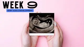 Baby | 9 weeks ultrasound scan ✅ 🚼 Fetal development #pregnancy