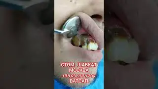 8 апреля 2024 г.