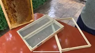 изолятор для подсадки маток за один час