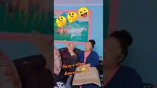 жизнь)