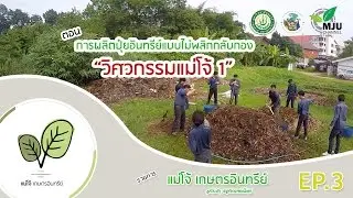 รายการ แม่โจ้เกษตรอินทรีย์ | ตอน การผลิตปุ๋ยอินทรีย์แบบไม่พลิกกลับกอง 
