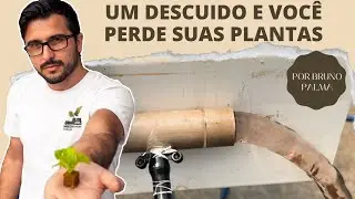 A flauta da sua bancada pode estar comprometendo sua Hidroponia 🤔