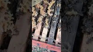 собираемся зимовать.