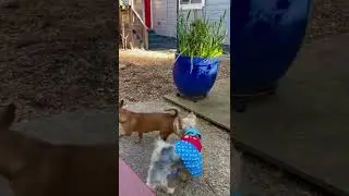 Kaley and Penny play a round of  “Circle Butt”