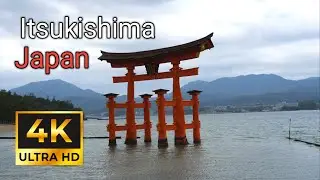 THE BEAUTIFUL TORII OF ITSUKISHIMA | Japan | 4K