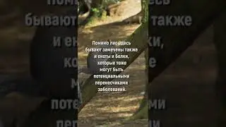 ОПАСНЫЕ ПЛЯЖИ.  Куда лучше не ехать отдыхать? Самые опасные места 
