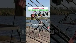 Зерновые для ловли карпа и сазана? 
