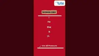 What Are Pronouns in English Grammar | What Are Pronouns | Pronouns in English | Letstute | 