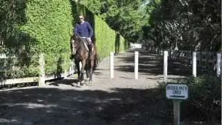 Wellington, Florida Horse Show 2012