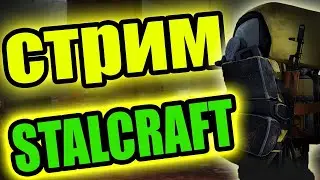 STALCRAFT - ФАРМ СЕВЕРА, АИРЫ И ПРОЧАЯ ЕРЕСЬ🧤