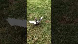 Welded Bird Robot with the Forney Easy Weld #diywelding