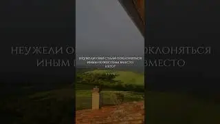 Сура 21 Аль-Анбийа (Пророки), аяты 21-24. Шейх Ясир ад-Даусари