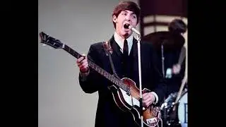 Monkberry Moon Delight (Paul McCartney)