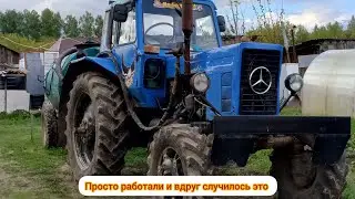 Опять сорвались выходные из-за огорода и хозяйства