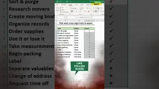 Insert Tick and Cross Mark in Excel | How to insert a tick and the wrong symbol in Excel | 