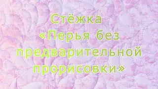 Стёжка заполняющая «Перья без предварительной прорисовки»