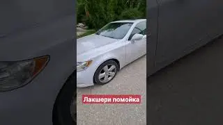 #lexus #lexusls #химчистка