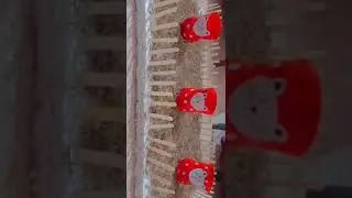 Bottles recycling #botanywithyoutube